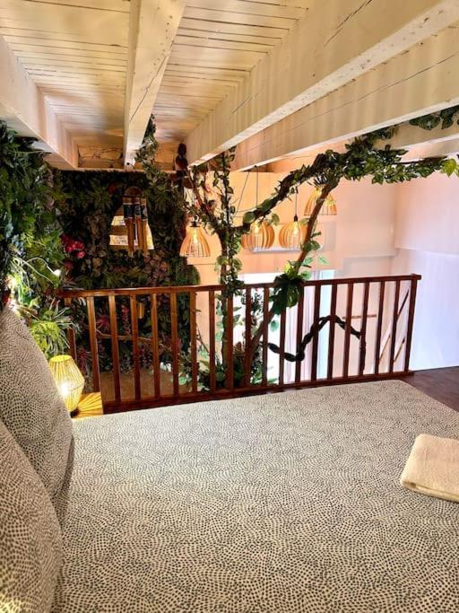 Appartement Jungle Avec Jaccuzi Au Coeur De *