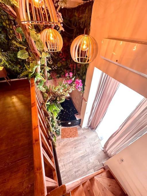 Appartement Jungle Avec Jaccuzi Au Coeur De