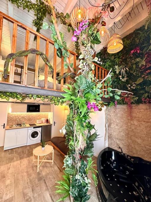 Appartement Jungle Avec Jaccuzi Au Coeur De *