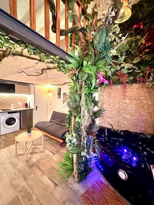 Jungle Avec Jaccuzi Au Coeur De Appartement Nice