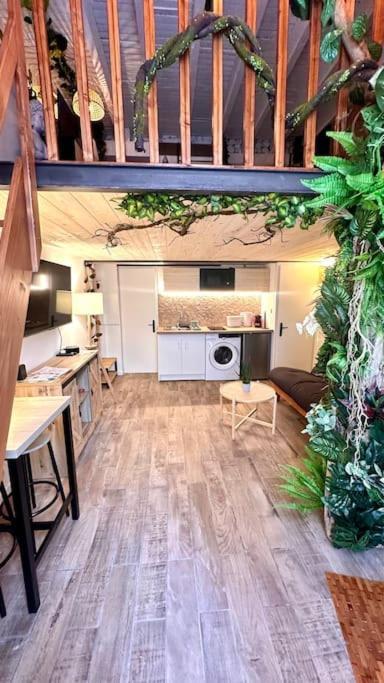 Jungle Avec Jaccuzi Au Coeur De Appartement