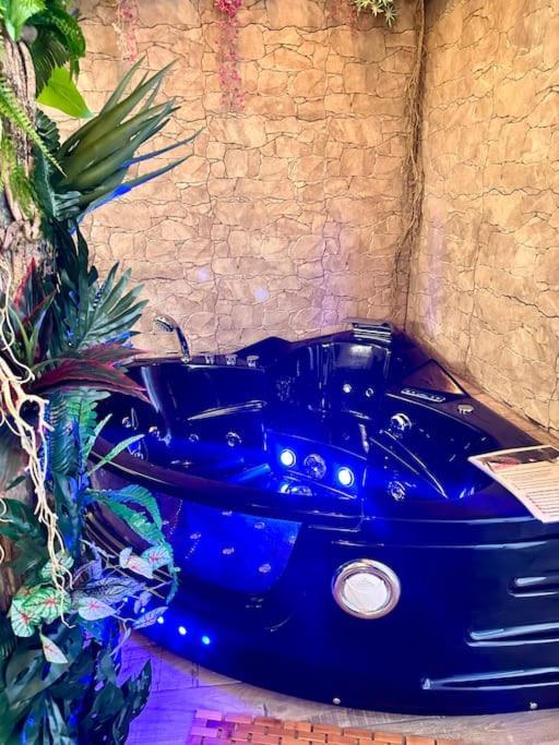 Jungle Avec Jaccuzi Au Coeur De Appartement