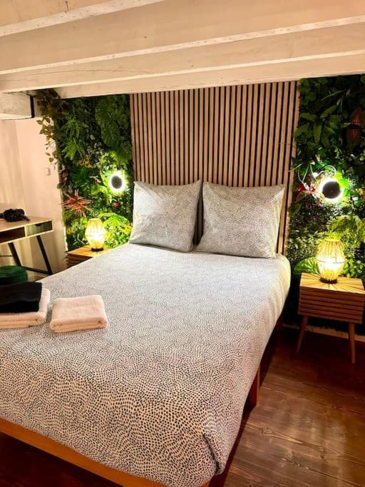 Appartement Jungle Avec Jaccuzi Au Coeur De