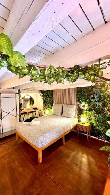 Appartement Jungle Avec Jaccuzi Au Coeur De Nice